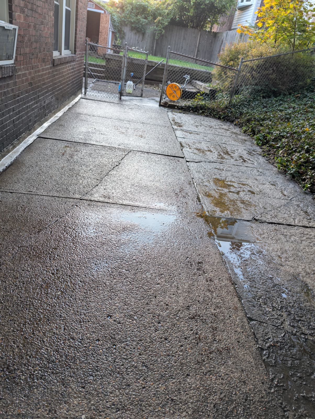 WhatsApp Image 2025 11 01 at 6.11.38 PM